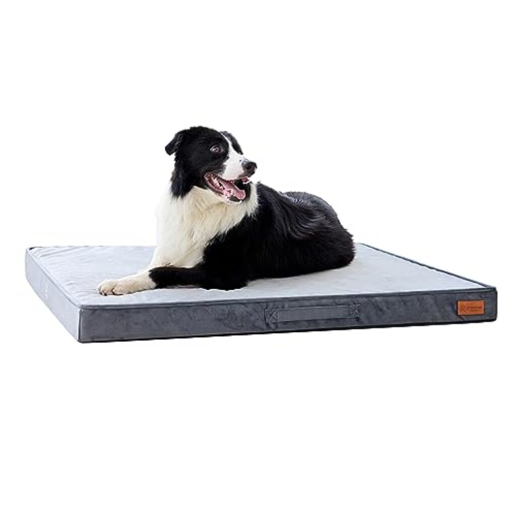 Joyhouse Orthopedic dog bed